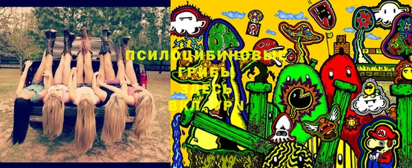 СК Алексеевка