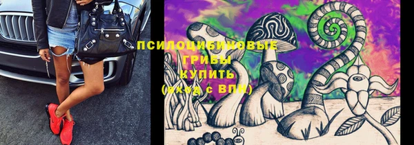 гидропоника Алзамай