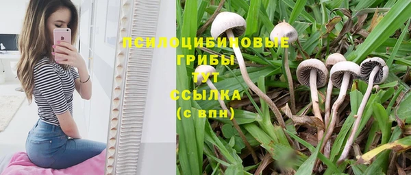 дмт Алексин